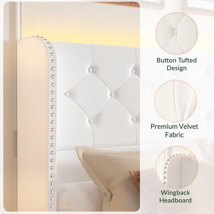 Koral Queen Size Upholstered Bed Frame with Storage Drawers,Tufted Wingback Headboard,Led Lights